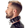 Ошейник кожаный LateX, черный, размеры 35 см - 43 см, фото №2 — секс шоп Украина, NO TABOO
