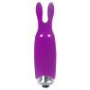 Минивибратор Adrien Lastic Rabbit фиолетовый, 8.5 х 2.3 см фото №1 — секс игрушки: Украина, NO TABOO
