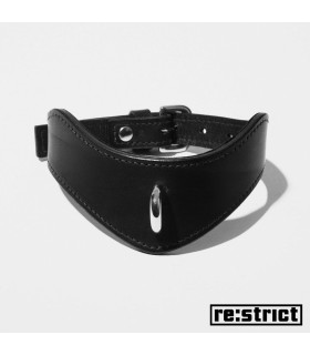 RESTRICT нашийник Tainted (матовий) M / L - No Taboo