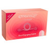 Зарядка Womanizer Эко (PREMIUM eco, InsideOut, DUO, PREMIUM 2, PREMIUM, CLASSIC 2, CLASSIC, LIBERTY, LIBERTY by Lily Allen, STARLET 2, STARLET 3) фото №2 — секс игрушки: Украина, NO TABOO