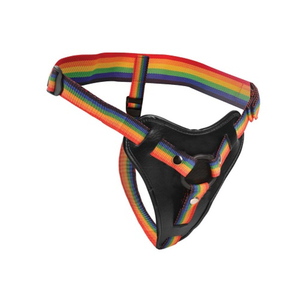 Трусы для страпона с кольцевым креплением Strap-U Rainbow harness, разноцветные, универсальный размер фото №0 — секс игрушки: Украина, NO TABOO