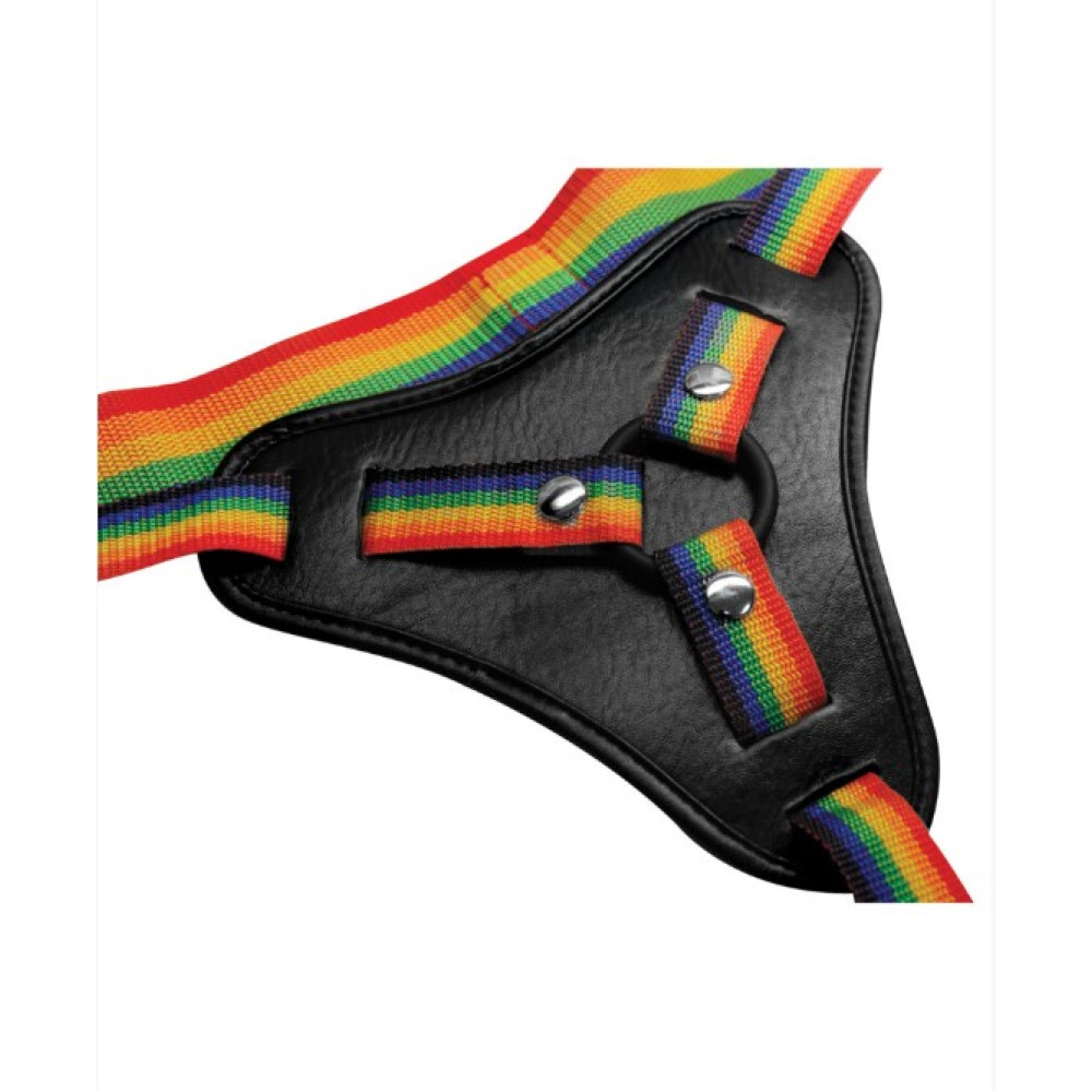 Трусы для страпона с кольцевым креплением Strap-U Rainbow harness, разноцветные, универсальный размер фото №4 — секс игрушки: Украина, NO TABOO