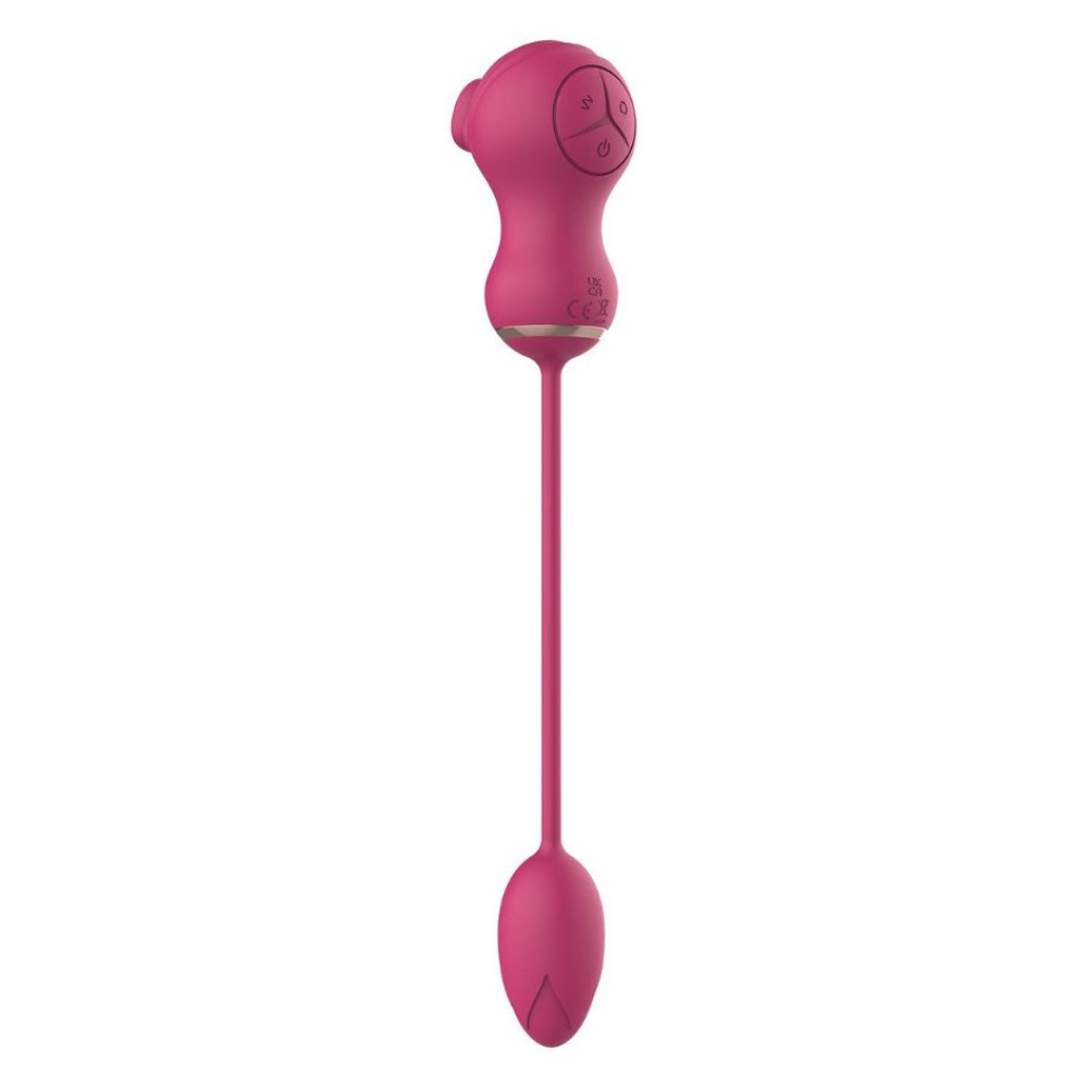 Двойной стимулятор Dream Toys Essentials 2в1 для клитора и вибрационное яйцо, розовый фото №7 — секс игрушки: Украина, NO TABOO