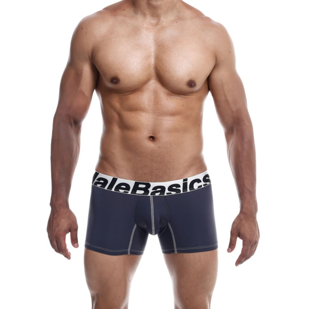 Мужские трусы боксеры MaleBasics Performance Boxer, серые, L, фото №0 — секс шоп Украина, NO TABOO