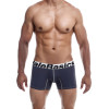 Мужские трусы боксеры MaleBasics Performance Boxer, серые, L, фото №1 — секс шоп Украина, NO TABOO