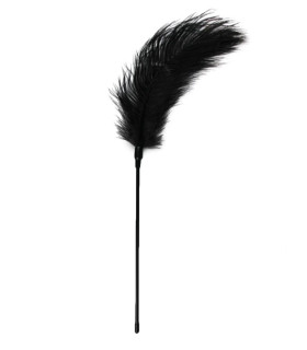 Перо страусиное для ласк Easytoys Feather Tickler , 55 х 12 см - No Taboo