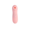 Вакуумный стимулятор Chisa Irresistible Touch розовый, 12,3 × 3,6 см фото №3 — секс игрушки: Украина, NO TABOO
