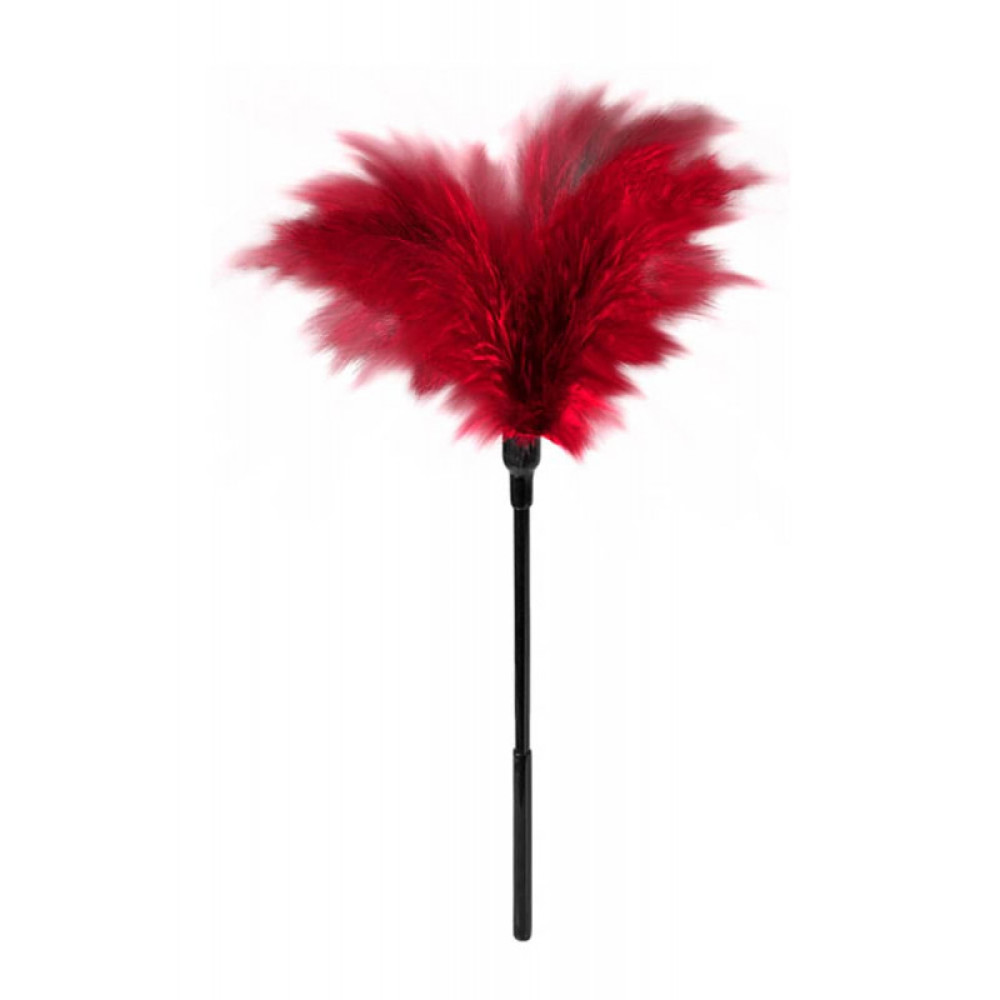 Тиклер с короткой ручкой Dream Toys Blaze красно-черный, 32 см, фото №0 — секс шоп Украина, NO TABOO