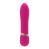 Мини вибратор Romp Vibe Chisa, силиконовый, розовый, 11.9 х 2.6 см фото №3 — секс игрушки: Украина, NO TABOO