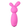 Вибратор для клитора в виде зайчика Mini Bunny Easytoys, силиконовый, розовый фото №1 — секс игрушки: Украина, NO TABOO