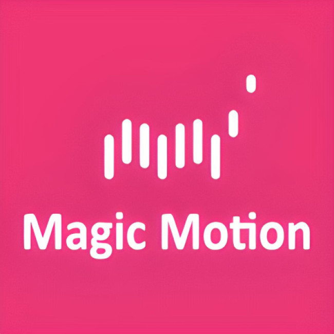 Magic Motion - товары для взрослых