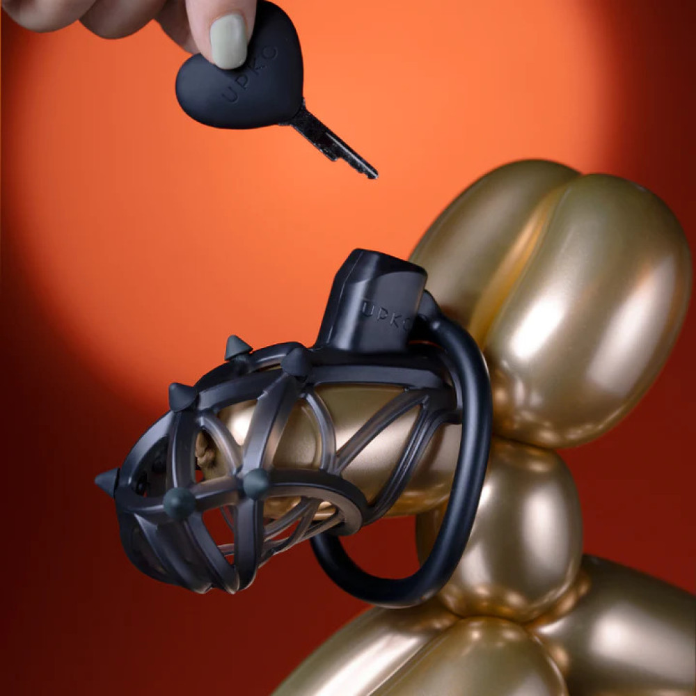 Ключик для пояса верности UPKO Caged Beast Male Chastity Device Kit, черный, фото №2 — секс шоп Украина, NO TABOO