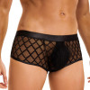 Трусы мужские Star Night Sheer Boxer, с сеточкой, черные, S, фото №2 — секс шоп Украина, NO TABOO