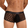 Трусы мужские Star Night Sheer Boxer, с сеточкой, черные, S, фото №4 — секс шоп Украина, NO TABOO