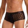 Трусы мужские Star Night Sheer Boxer, с сеточкой, черные, S, фото №5 — секс шоп Украина, NO TABOO
