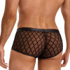 Трусы мужские Star Night Sheer Boxer, с сеточкой, черные, S, фото №6 — секс шоп Украина, NO TABOO