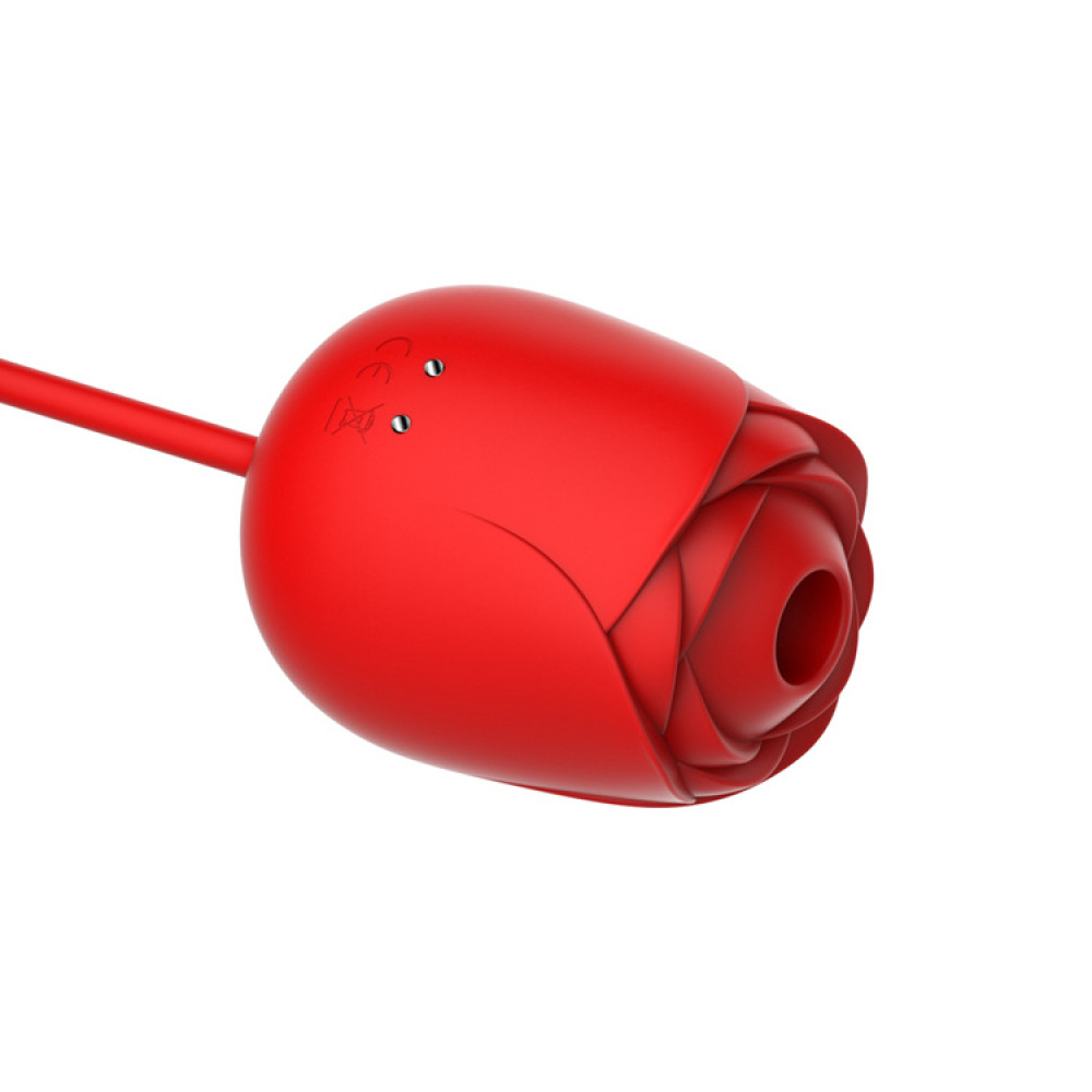 Вакуумный стимулятор клитора в форме розы Every Night Toys с вибратором с фрикциями, красный фото №9 — секс игрушки: Украина, NO TABOO