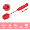 Вакуумный стимулятор клитора в форме розы Every Night Toys с вибратором с фрикциями, красный фото №14 — секс игрушки: Украина, NO TABOO