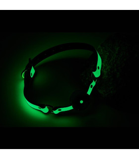 Кляп с шариком Dreamtoys Ball Gag светящийся в темноте, зеленый, 60 х 4 см - No Taboo