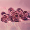 Набор анальных пробок Dreamtoys Rosebud стеклянный, розовый, 3 шт фото №11 — секс игрушки: Украина, NO TABOO