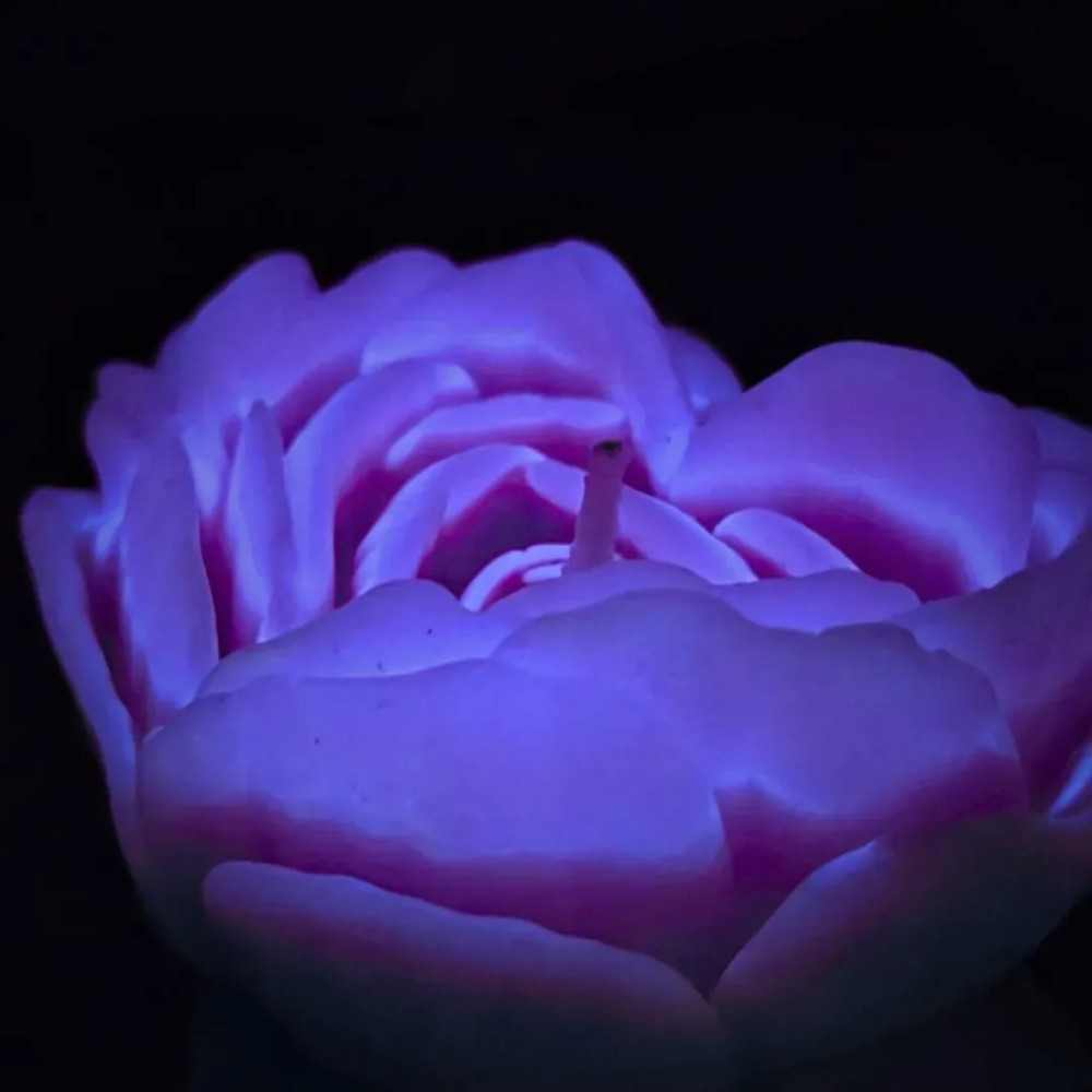 Свеча роза люминесцентная GlowKink 38 г, низкотемпературная, M, для БДСМ, фиолетовая, фото №3 — секс шоп Украина, NO TABOO