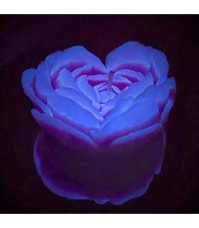 Свеча роза люминесцентная GlowKink 38 г, низкотемпературная, M, для БДСМ, фиолетовая - No Taboo
