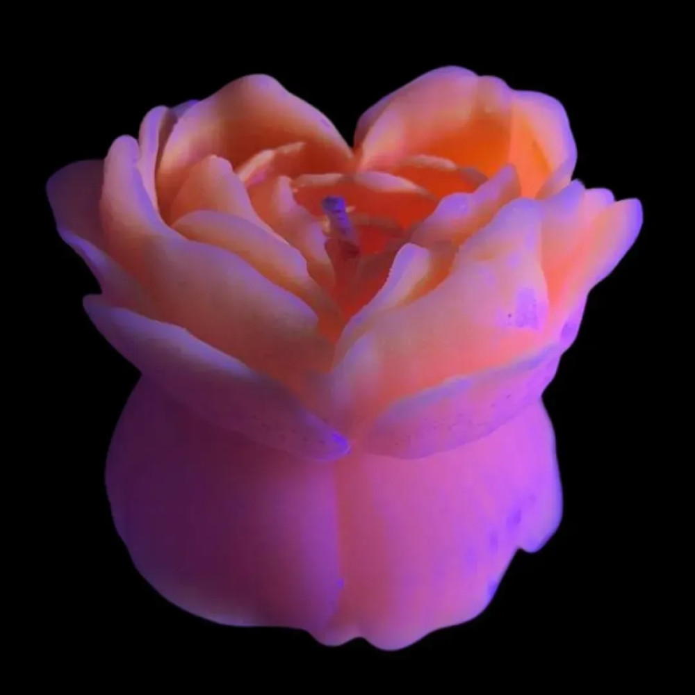 Свеча роза люминесцентная GlowKink 38 г, низкотемпературная, M, для БДСМ, розовая, фото №0 — секс шоп Украина, NO TABOO