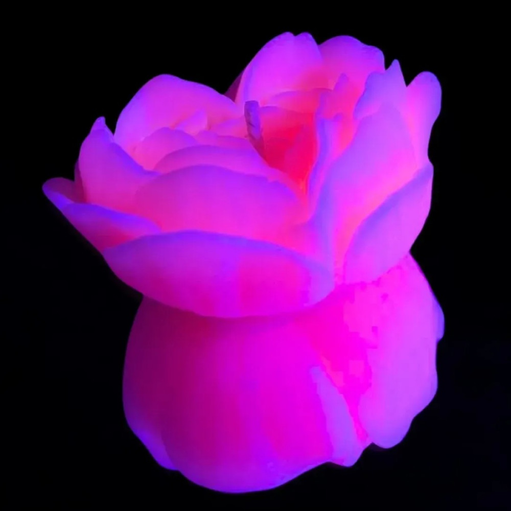 Свеча роза люминесцентная GlowKink 38 г, низкотемпературная, M, для БДСМ, персиковая, фото №4 — секс шоп Украина, NO TABOO