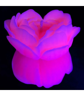Свеча роза люминесцентная GlowKink 38 г, низкотемпературная, M, для БДСМ, персиковая - No Taboo