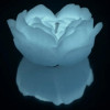 Свеча роза люминесцентная GlowKink 62 г, низкотемпературная, L, для БДСМ, белая, фото №3 — секс шоп Украина, NO TABOO