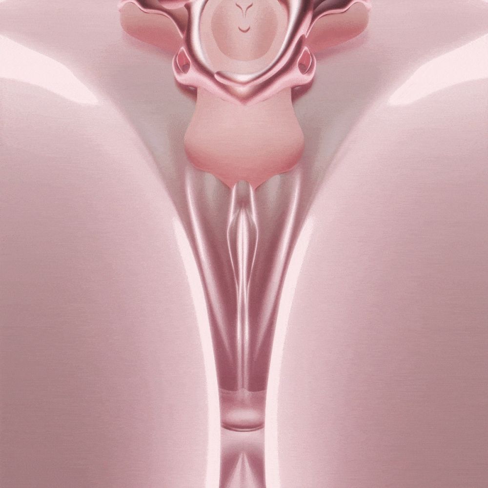 Вибратор-трусики с пультом UPKO UEROS со съемным виброяйцом, розовый, 10.6 х 7.7 см фото №8 — секс игрушки: Украина, NO TABOO