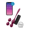 Вагинальные виброшарики Satisfyer Love Birds Vary с приложением и пультом, бордовые, 22.2 х 3.3 см фото №1 — секс игрушки: Украина, NO TABOO