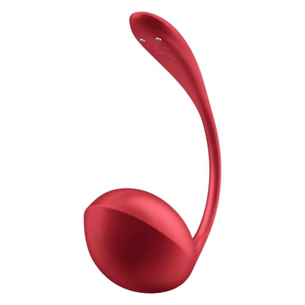 Вибратор в трусики Satisfyer Ribbed Petal с приложением и пультом, красный, 23.5 х 3.8 см фото №3 — секс игрушки: Украина, NO TABOO