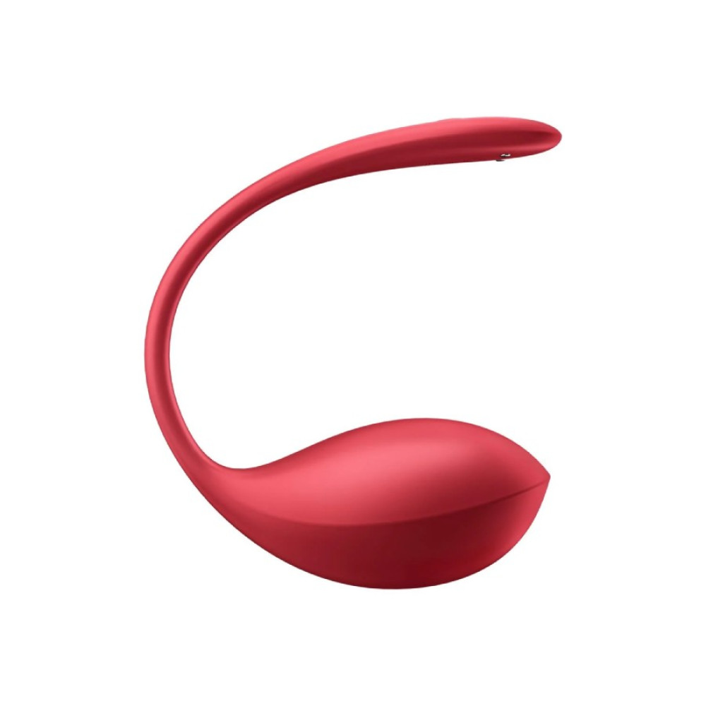 Вибратор в трусики Satisfyer Ribbed Petal с приложением и пультом, красный, 23.5 х 3.8 см фото №6 — секс игрушки: Украина, NO TABOO