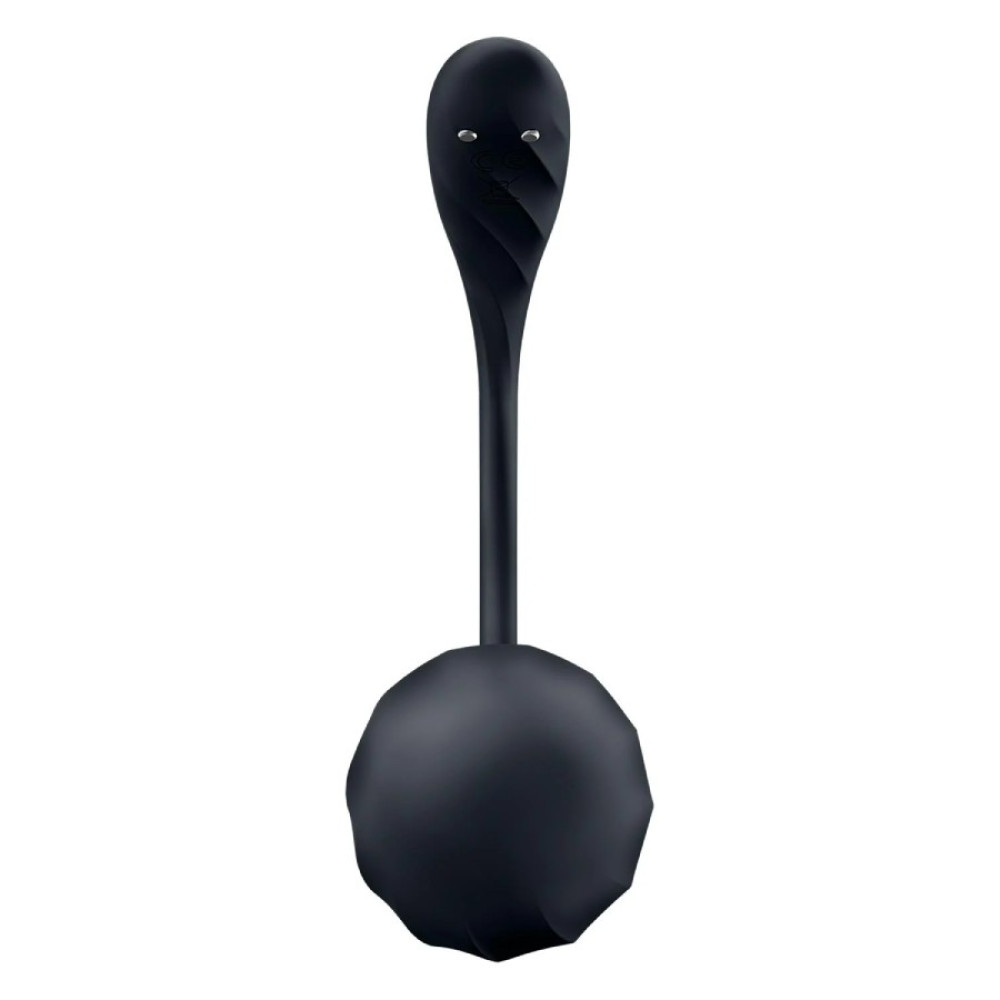 Вибратор в трусики Satisfyer Ribbed Petal с приложением и пультом, черный, 23.5 х 3.8 см фото №7 — секс игрушки: Украина, NO TABOO