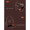Кляп Roomfun M с кольцом, серебристый, 4 см, фото №14 — секс шоп Украина, NO TABOO