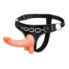 Страпон на трусиках BAILE Ultra Passionate Harness с мошонкой, бежевый, 15.7 х 3 см фото №2 — секс игрушки: Украина, NO TABOO