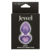 Анальная пробка CalExotics, S, Jewel с камнем, фиолетовая, 6 х 3,3 см фото №1 — секс игрушки: Украина, NO TABOO
