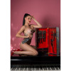 Набор для БДСМ Taboom Desires Masterpiece Case черный, 11 предметов, фото №5 — секс шоп Украина, NO TABOO