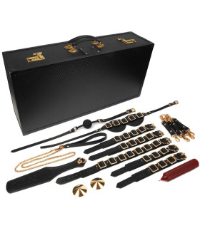 Набір для БДСМ Taboom Desires Masterpiece Case чорний, 11 предметів - No Taboo