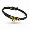 Чокер с надписью PUPPY от UPKO из итальянской кожи, черный с золотой фурнитурой, фото №4 — секс шоп Украина, NO TABOO