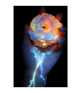 Свеча пион люминесцентная GlowKink 65 г, низкотемпературная, L, для БДСМ, разноцветная - No Taboo