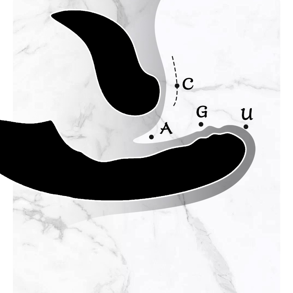  Вибратор со съемным вакуумным стимулятором BeYourLover Fatima с подключением к телефону, черный, 19.1 см х 3.2 см фото №29 — секс игрушки: Украина, NO TABOO