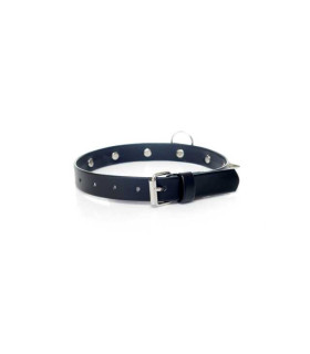 Ошейник Fetish Boss Series Collar с шипами, 2см - No Taboo