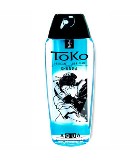 Лубрикант на водной основе Shunga, 165 мл - No Taboo