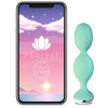 Тренажер кегеля силикон Perifit - App Controlled Pelvic Floor фото №2 — секс игрушки: Украина, NO TABOO