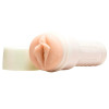 Мастурбатор-вагина реалистичный, из киберкожи, Fleshlight Maitland Ward Pussy фото №2 — секс игрушки: Украина, NO TABOO