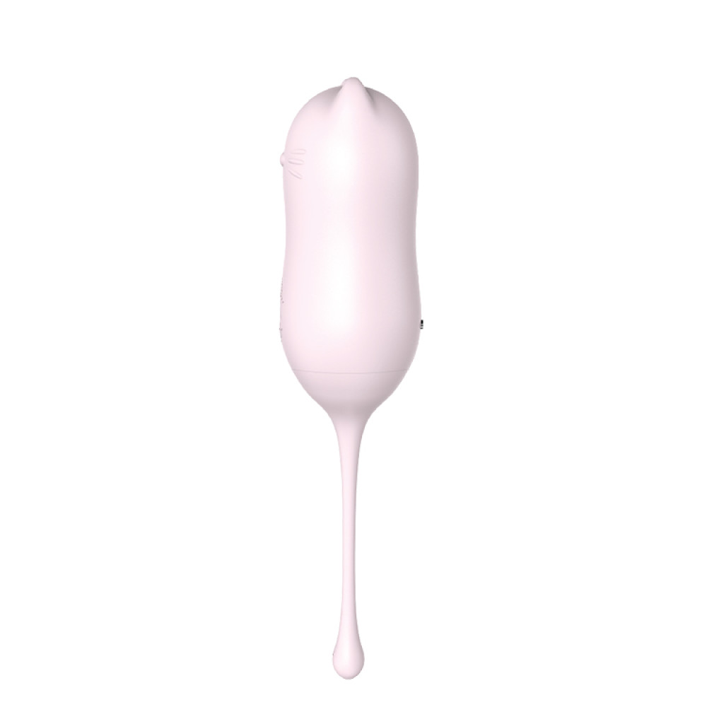 Виброяйцо с дистанционным пультом Dream Toys розовое, 7 х 3 см фото №3 — секс игрушки: Украина, NO TABOO