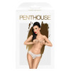 Эротические трусики Penthouse Catch me, S/M, кружевные, с декором сзади, белые, фото №3 — секс шоп Украина, NO TABOO