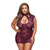 Сексуальное платье Baci Lingerie, L/XL, кружевное с глубоким декольте и открытой спиной, фиолетовое, фото №1 — секс шоп Украина, NO TABOO